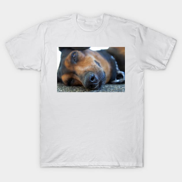 closeup of a sleeping dog T-Shirt by likbatonboot